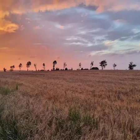 10 Person In Roslev-by Traum