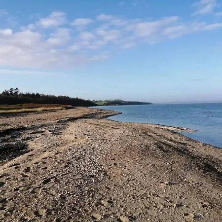 10 Person In Roslev-by Traum *